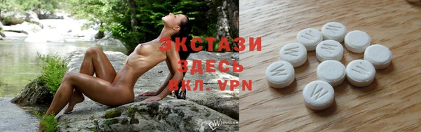 твердый Дмитровск