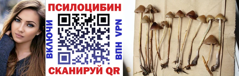 Галлюциногенные грибы Psilocybe купить наркотик Ивантеевка